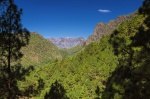 Landschaftsfotografie, La Cumbrecita, La Palma, Kiefernwald, Cumbre Nueva, Reventon